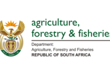 Department of Forestry, Fisheries and the Environment Vacancies Circular 30 of 2026