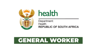 Department of Health and Wellness Stores General Worker Vacancy in Cape Town