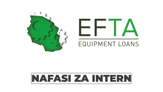 EFTA ICT Intern Job Opportunity in Tanzania 2026