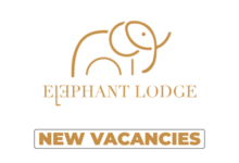Elephant Lodge Jobs 2026: Vacancies & Opportunities
