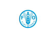 FAO Africa Internship Program 2026
