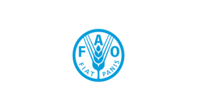 FAO Africa Internship Program 2026