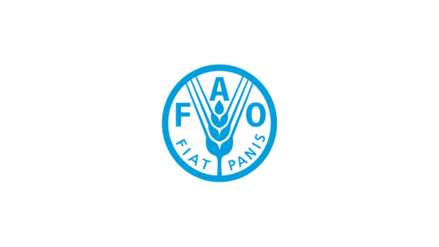 FAO Africa Internship Program 2026