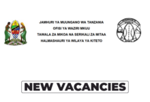 Kiteto District Council Jobs 2026 – Apply for 2 Vacancies