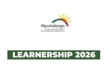 MTPA Learnership Programme 2026: 42 Opportunities for Unemployed Youth