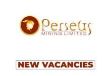 Perseus Mining Tanzania Job Vacancies 2026